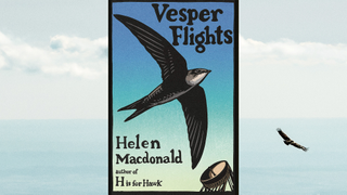 Like <i>H Is For Hawk</i> before it, Helen Macdonald’s <i>Vesper Flights</i> soars